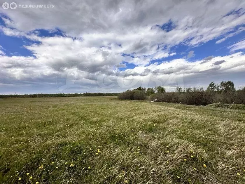 Участок в Тюменский район, деревня Елань (8 м) - Фото 0