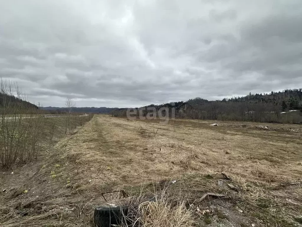 Участок в Сахалинская область, Анивский городской округ, с. Огоньки  ... - Фото 1