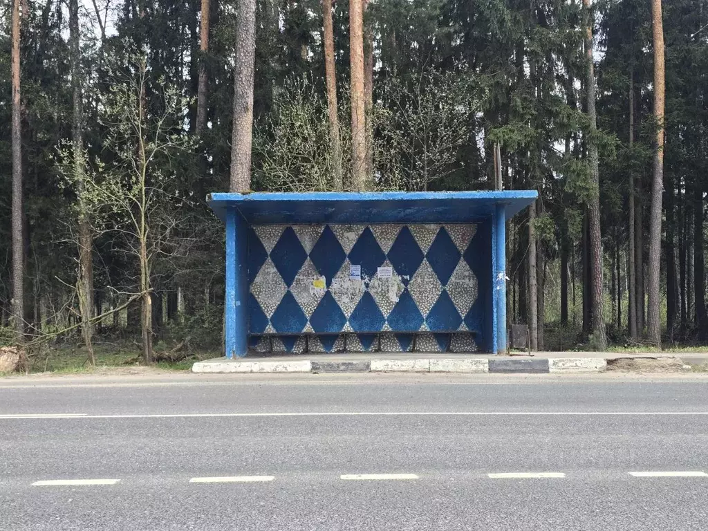 Дом в Московская область, Щелково городской округ, Цветочная тер. ул. ... - Фото 2