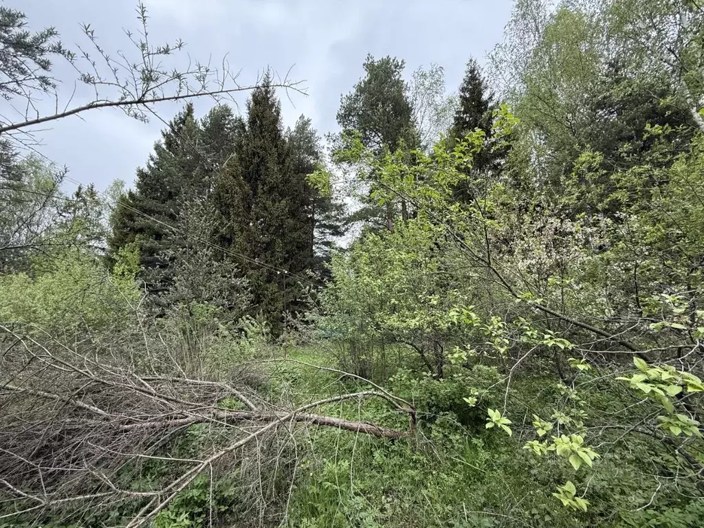 Участок в Московская область, Одинцовский городской округ, пос. НИИ ... - Фото 1