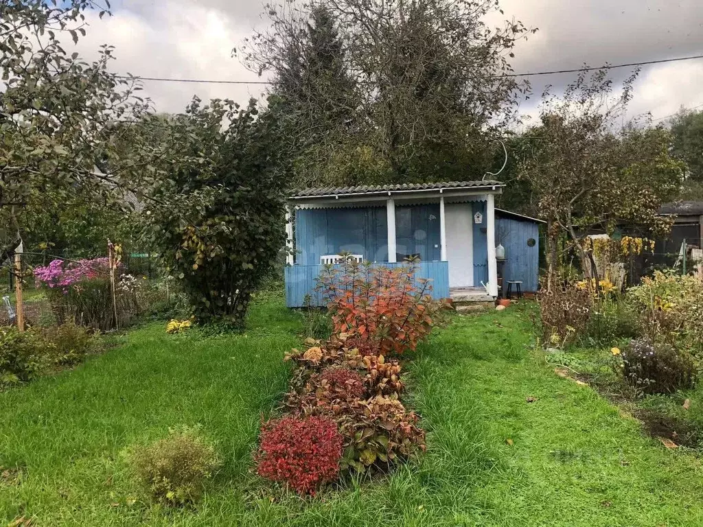 Дом в Калининградская область, Калининград Сад-3 СНТ, ул. Цветочная ... - Фото 2