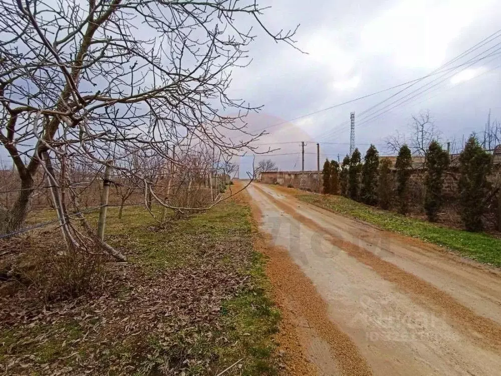 Участок в Крым, Сакский район, с. Митяево ул. Спортивная (12.0 сот.) - Фото 1