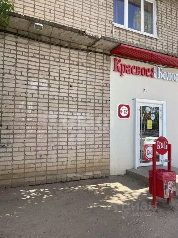 Офис в Смоленская область, Смоленск Кловская ул, 54 (90.0 м) - Фото 1