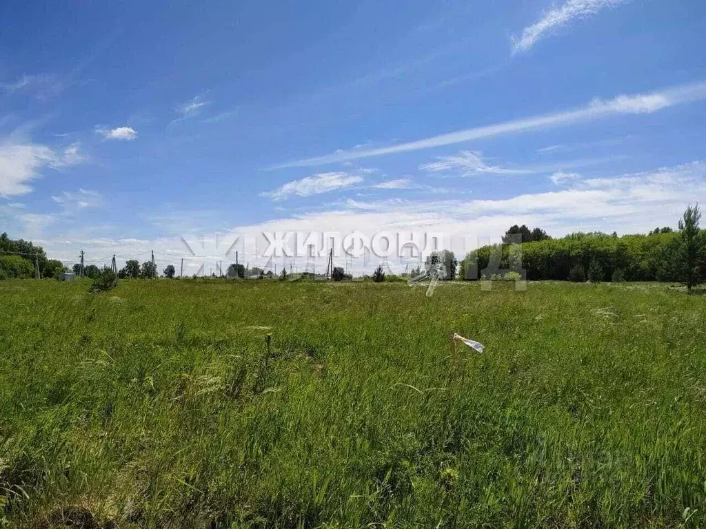 Участок в Новосибирская область, Бердск ул. Алмазная (10.0 сот.) - Фото 1