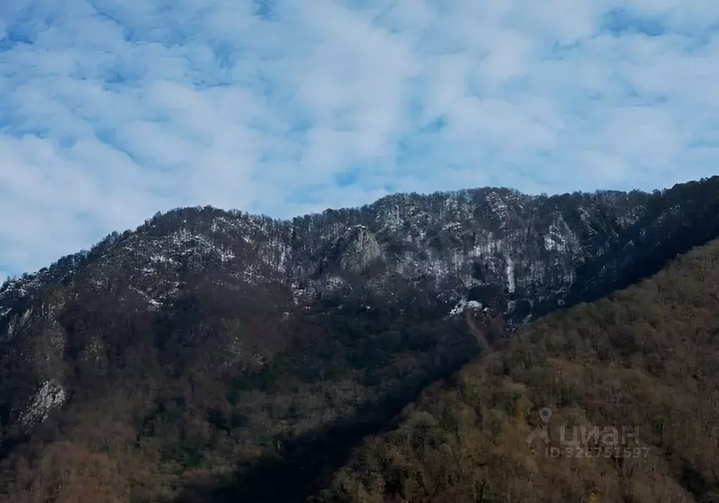 Коттедж в Краснодарский край, Сочи городской округ, с. Монастырь ул. ... - Фото 2