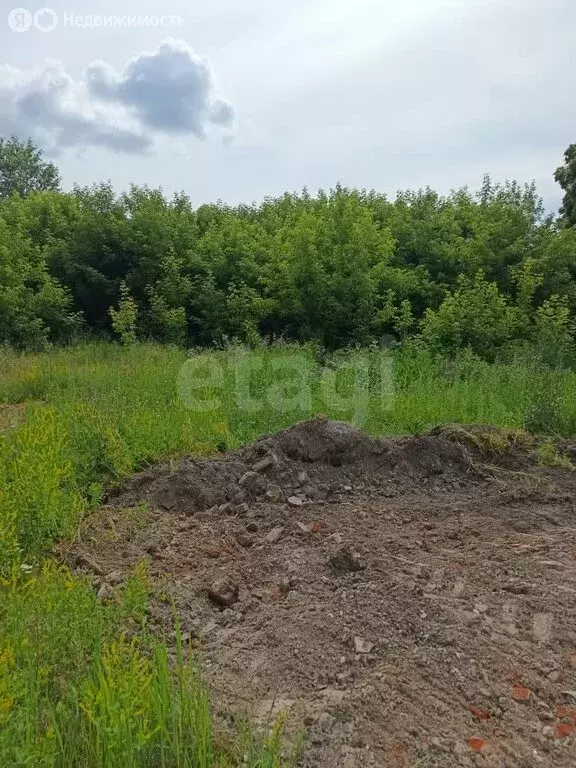 Участок в Викулово, улица Автомобилистов (9.1 м) - Фото 1