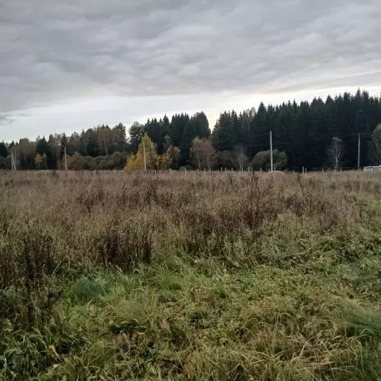 Участок в Калужская область, Малоярославецкий муниципальный округ, ... - Фото 1
