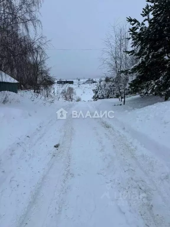 Участок в Владимирская область, Суздальский район, Павловское ... - Фото 2