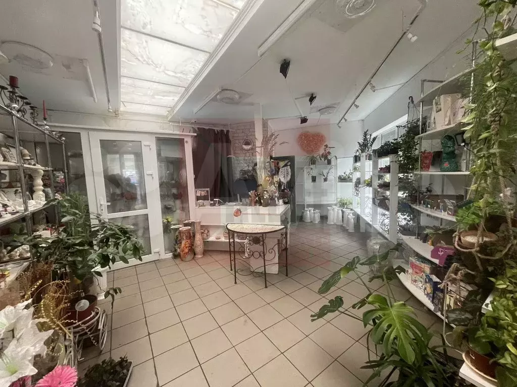 Сдам помещение свободного назначения, 50.2 м - Фото 1