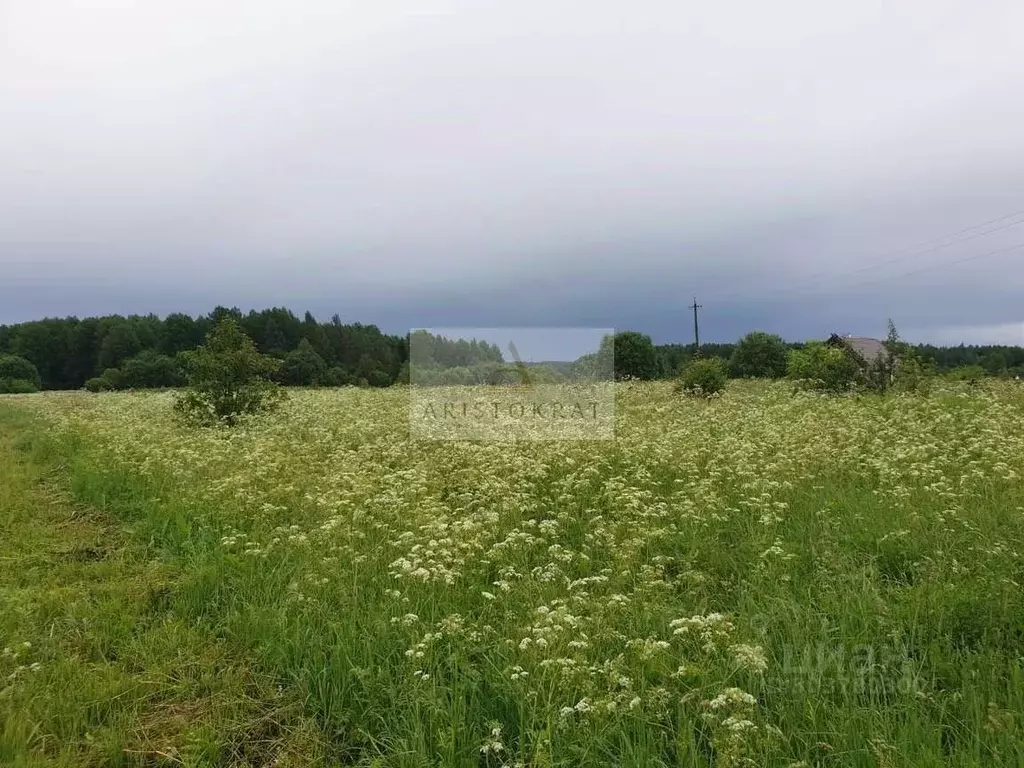 Участок в Вологодская область, с. Погорелово  (22.0 сот.) - Фото 0