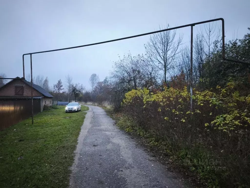 Участок в Псковская область, Печорский муниципальный округ, д. Лавры  ... - Фото 1