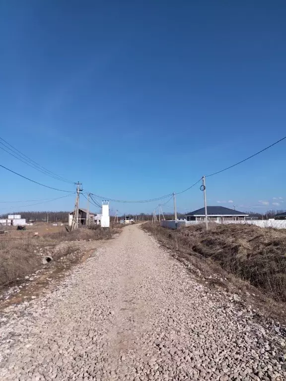 Участок в Новгородская область, Новгородский район, Савинское с/пос, ... - Фото 1