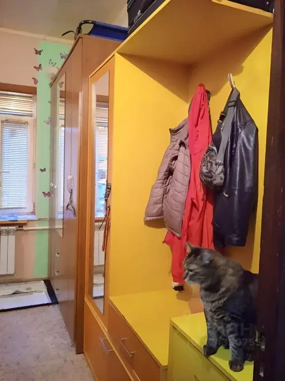 1-к кв. Московская область, Богородский городской округ, Обухово пгт ... - Фото 2