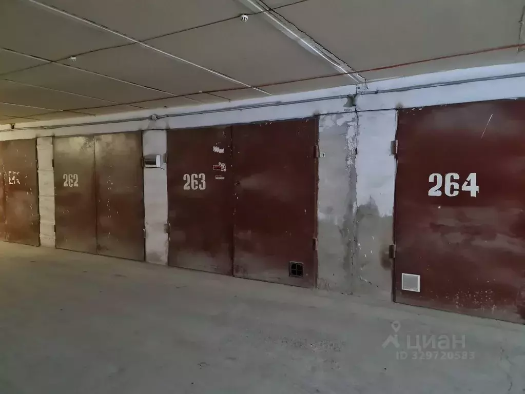 Гараж в Алтайский край, Барнаул Лазурная ул., 37 (19 м) - Фото 2
