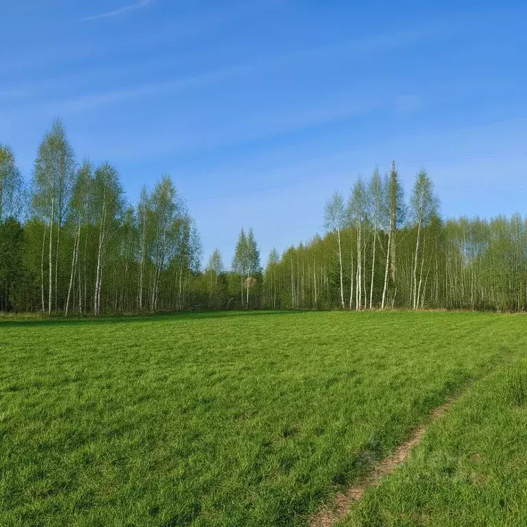 Участок в Московская область, Рузский муниципальный округ, д. Лобково ... - Фото 2