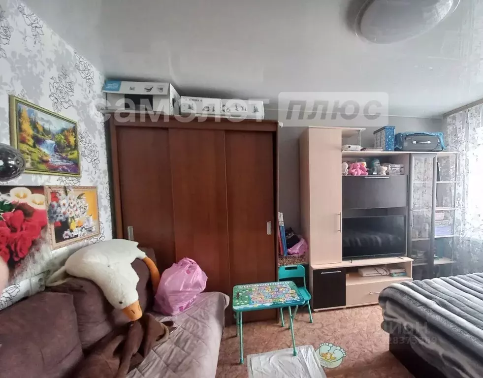 1-к кв. Вологодская область, Шексна рп ул. Молодежная, 5 (35.0 м) - Фото 1