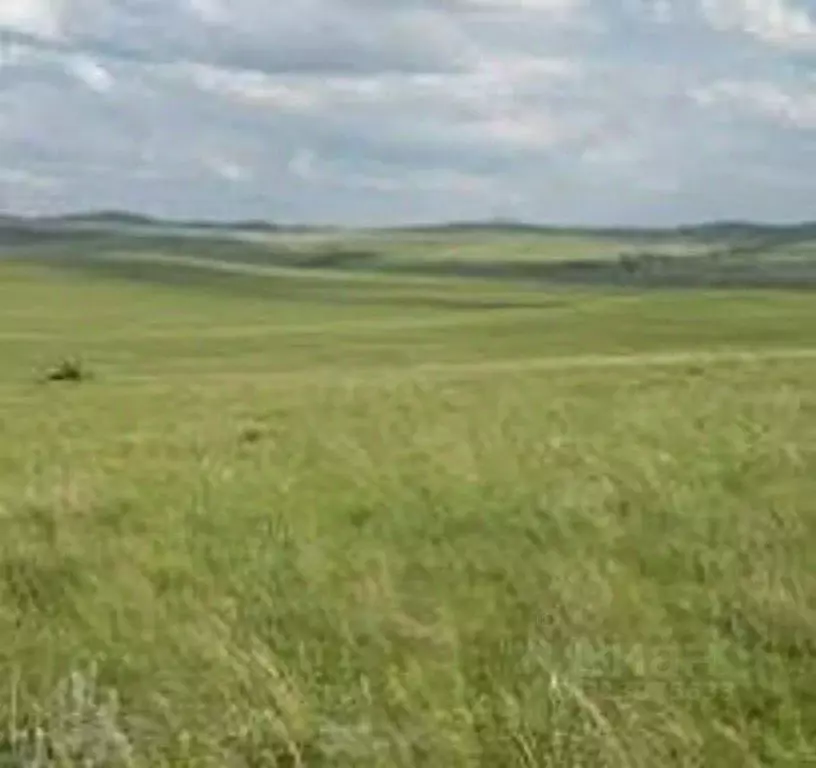 Участок в Краснодарский край, Кущевский район, Красносельское с/пос, ... - Фото 1