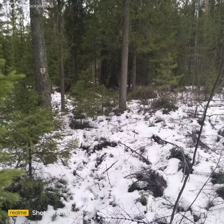 Участок в посёлок городского типа Краснозатонский, 1-я линия (11 м) - Фото 1