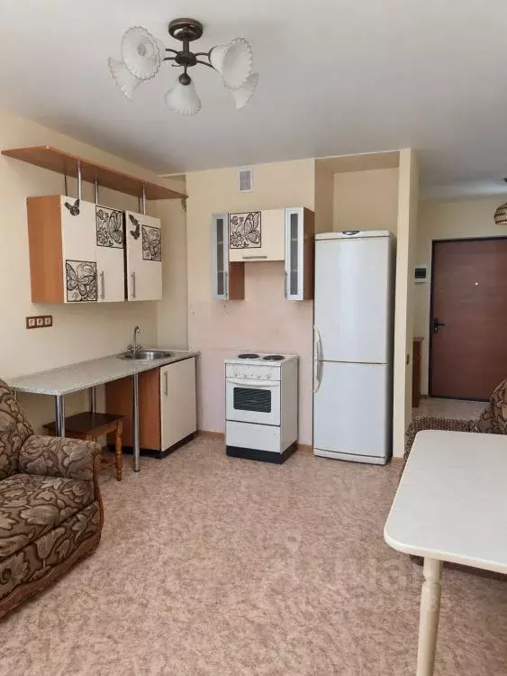 Студия Иркутская область, Шелехов 3-й мкр, 21 (23.7 м) - Фото 2