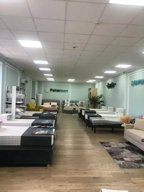 Помещение свободного назначения в Татарстан, Казань ул. Сибирский ... - Фото 1