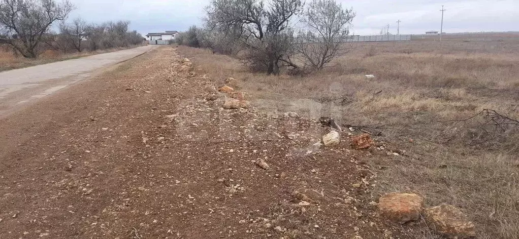 Участок в Крым, Сакский район, Молочненское с/пос, с. Витино  (6.0 ... - Фото 1