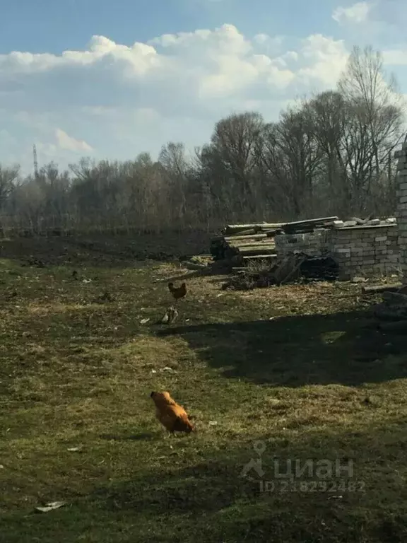 Участок в Курская область, Октябрьский район, д. Реутова  (18.0 сот.) - Фото 0