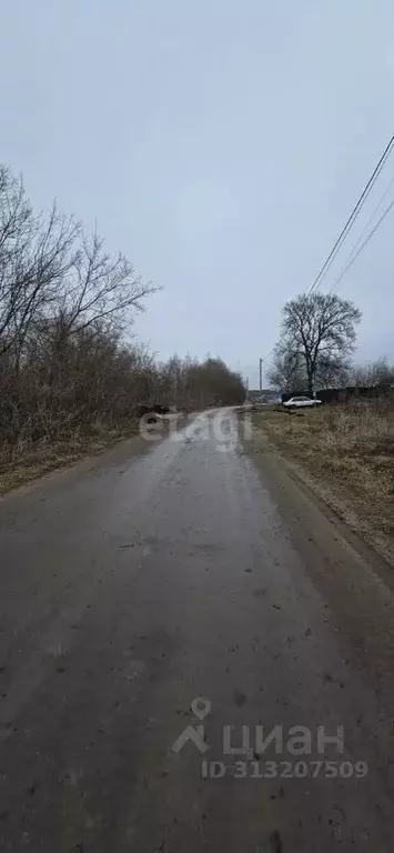 Участок в Липецкая область, Добровский муниципальный округ, с. ... - Фото 1