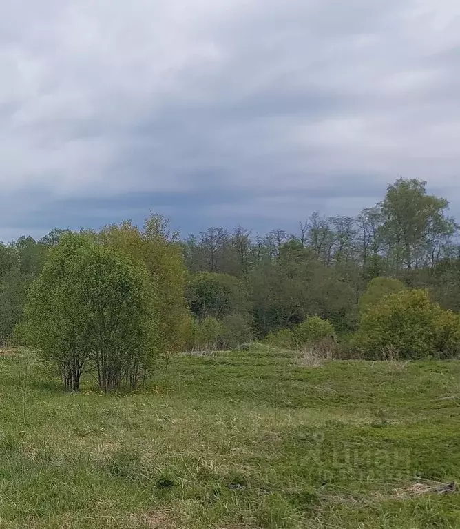Участок в Московская область, Наро-Фоминский городской округ, д. Устье ... - Фото 1