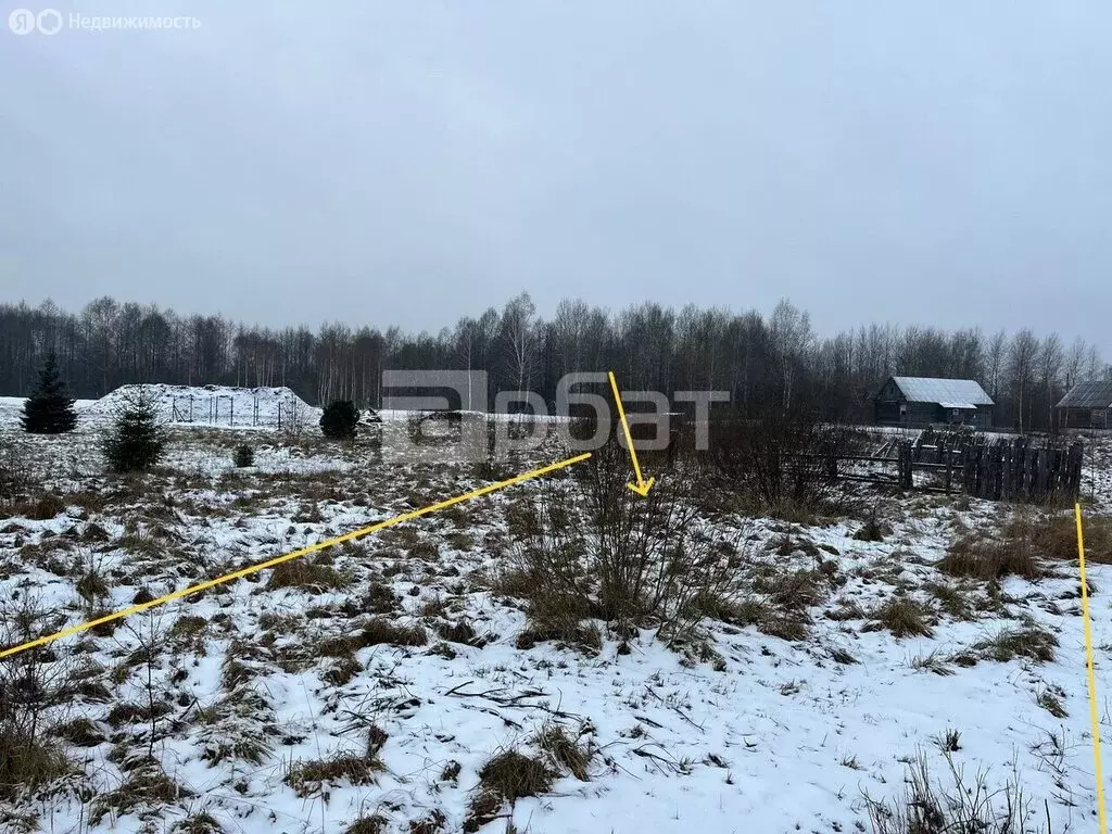 Участок в Владимирская область, Судогодский муниципальный округ, ... - Фото 1
