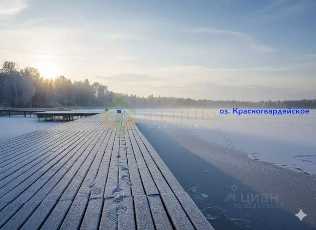 Участок в Ленинградская область, Выборгский район, Полянское с/пос, ... - Фото 1