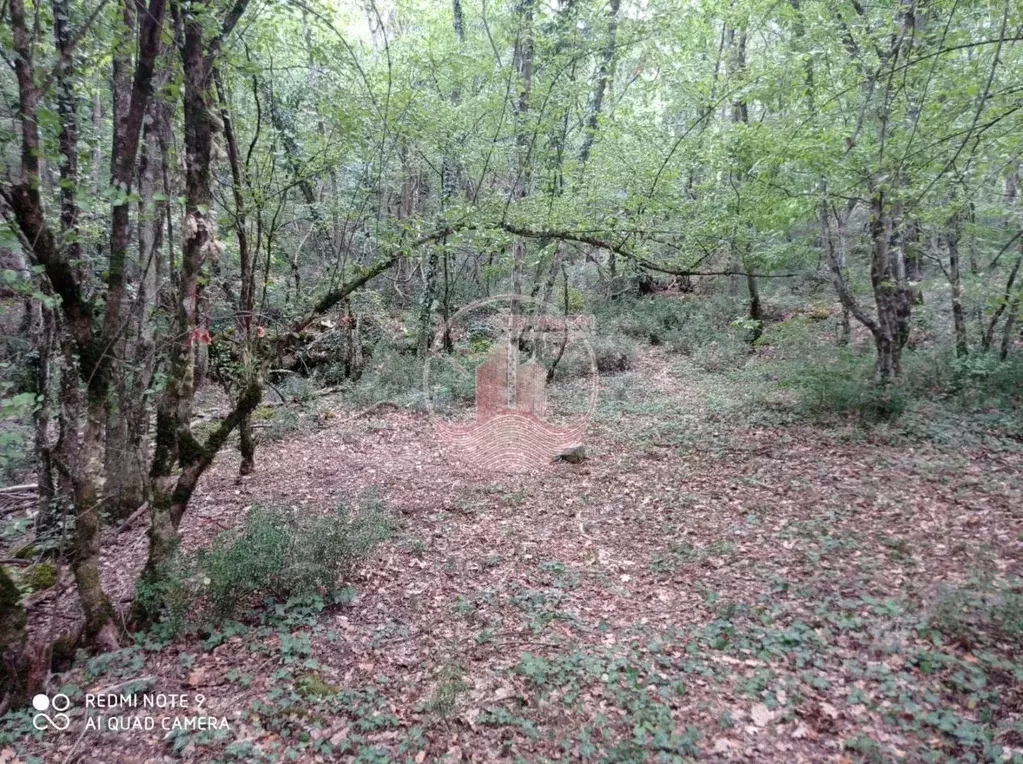 Участок в Крым, Ялта наб. Имени В.И. Ленина (4.3 сот.) - Фото 0