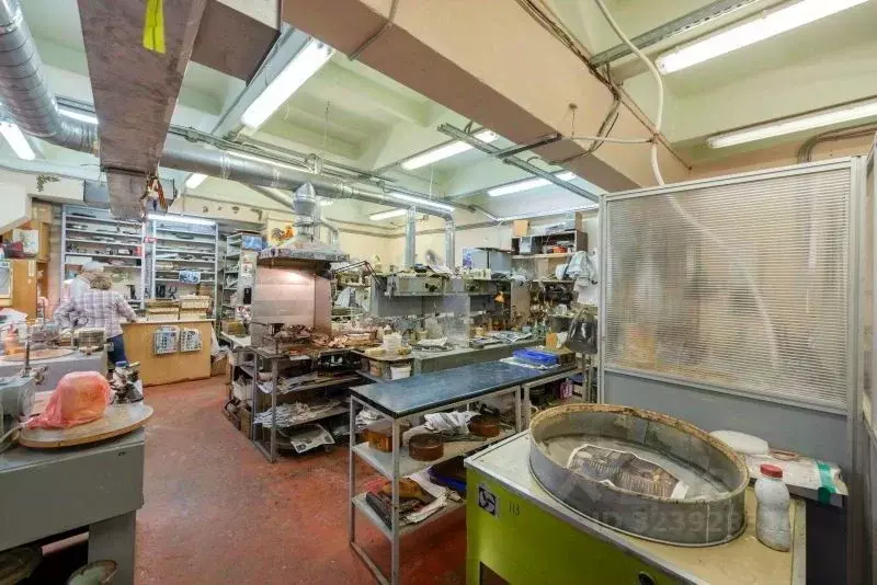 Производственное помещение в Санкт-Петербург просп. Тореза, 68А (407 ... - Фото 2