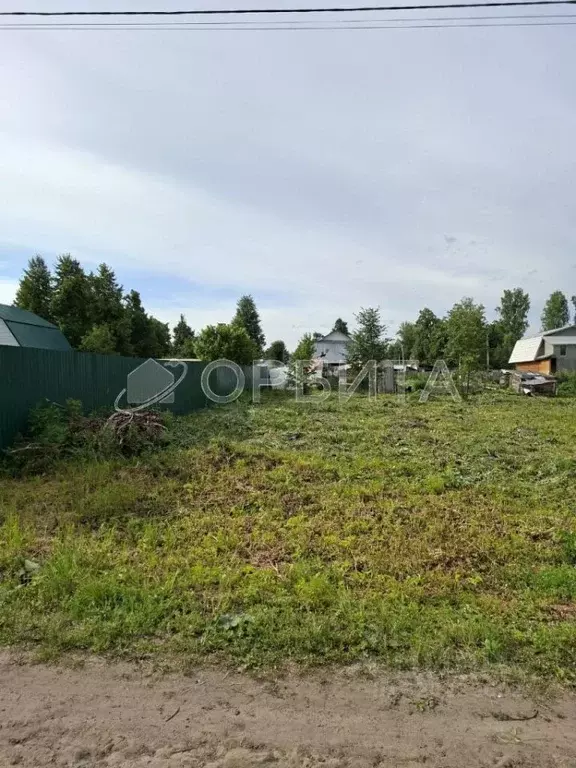 Участок в Тюменская область, Нижнетавдинский район, Сочинские СНТ  ... - Фото 0
