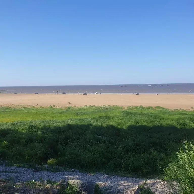 Производственное помещение в Новгородская область, Старорусский район, ... - Фото 1