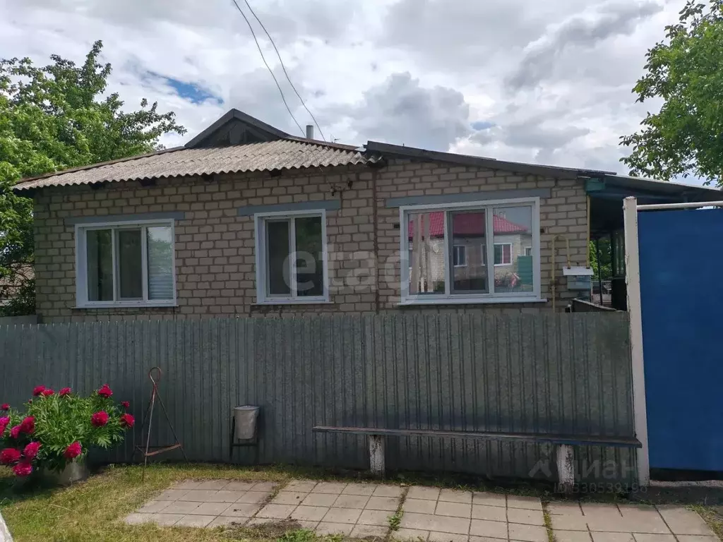Дом в Белгородская область, Вейделевский район, с. Малакеево ул. Мира, ... - Фото 1
