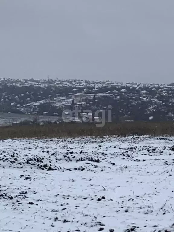 Участок в Белгородская область, Белгородский район, Головинское с/пос, ... - Фото 2