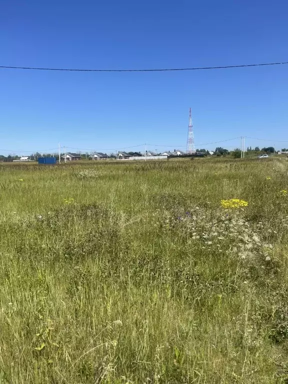 Участок в Воронежская область, Рамонь рп ул. Зеленая, 10 (15.0 сот.) - Фото 2