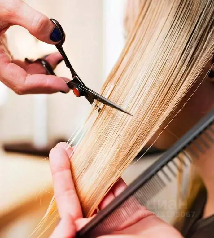 Помещение свободного назначения в Томская область, Томский район, пос. ... - Фото 1