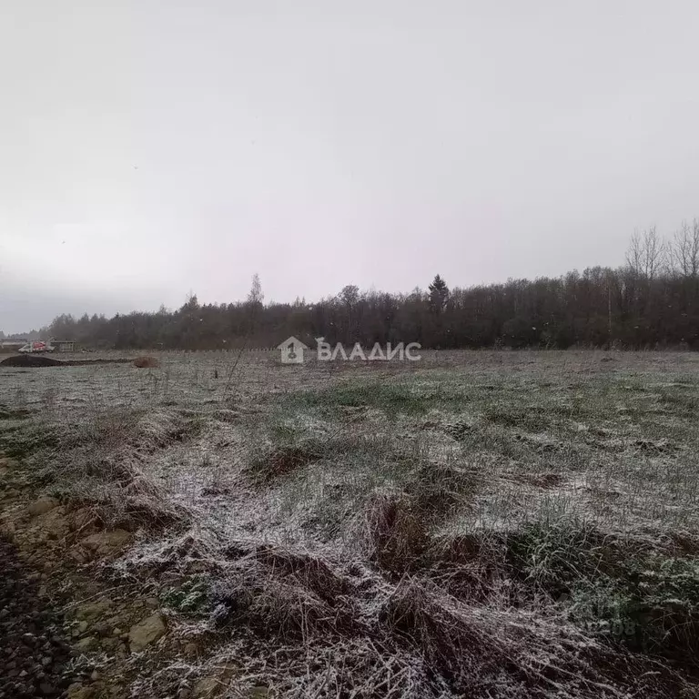Участок в Ленинградская область, Ломоносовский район, Гостилицкое ... - Фото 0