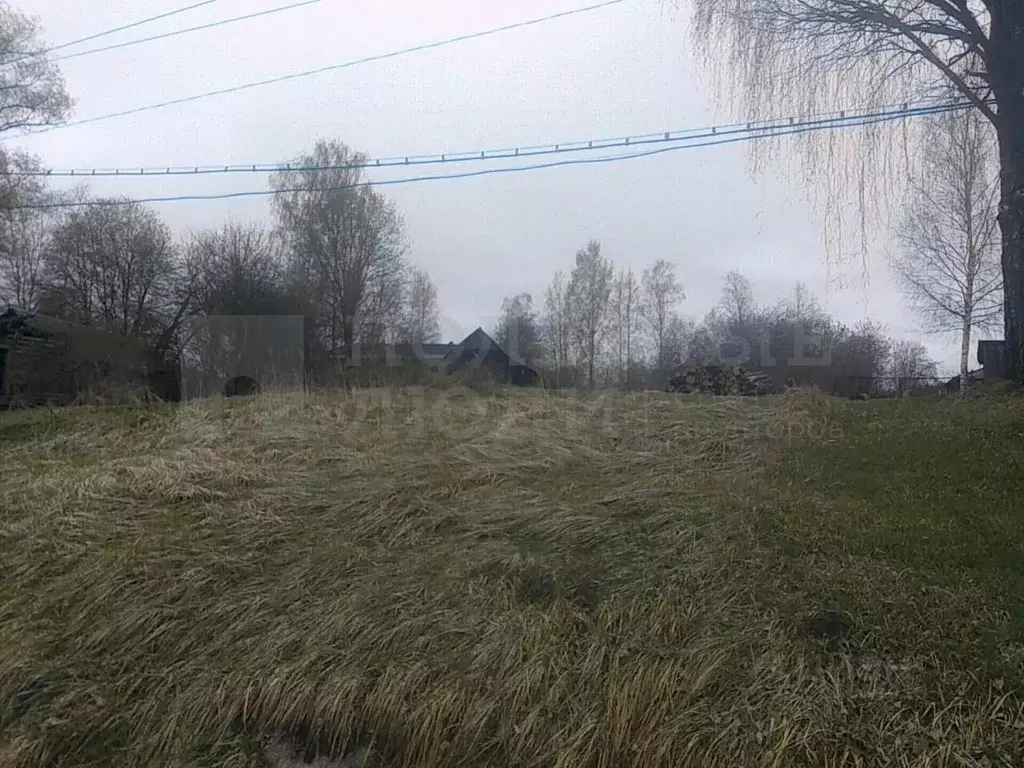 Участок в Новгородская область, Боровичский район, Опеченское с/пос, ... - Фото 1