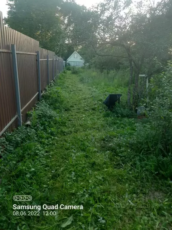 Участок в Московская область, Мытищи городской округ, пос. Свиноедово ... - Фото 0