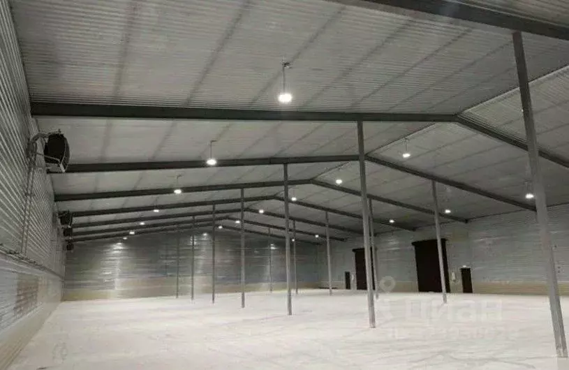 Склад в Ленинградская область, Тельмана Тосненский район, ул. ... - Фото 2