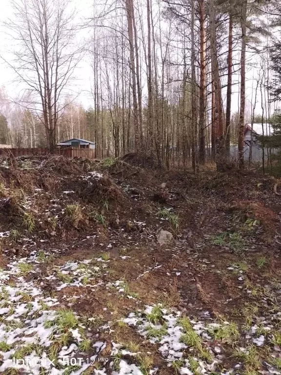 Участок в Ленинградская область, Всеволожское городское поселение, ... - Фото 0