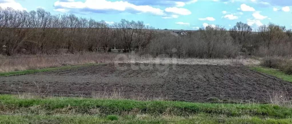 Участок в Белгородская область, Волоконовский район, с. Голофеевка  ... - Фото 2