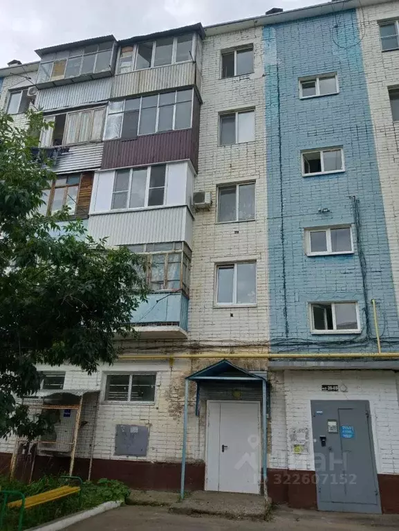 1-к кв. Оренбургская область, Оренбург просп. Братьев Коростелевых, 62 ... - Фото 0