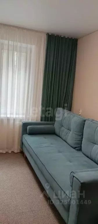 1-к кв. Челябинская область, Чебаркульский муниципальный округ, с. ... - Фото 1