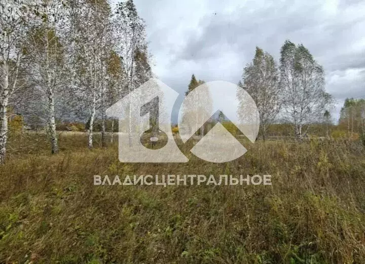 Участок в Мошковский район, посёлок Кошево, Садовая улица (15.66 м) - Фото 1