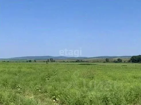 Участок в Краснодарский край, Новороссийск городской округ, ... - Фото 0