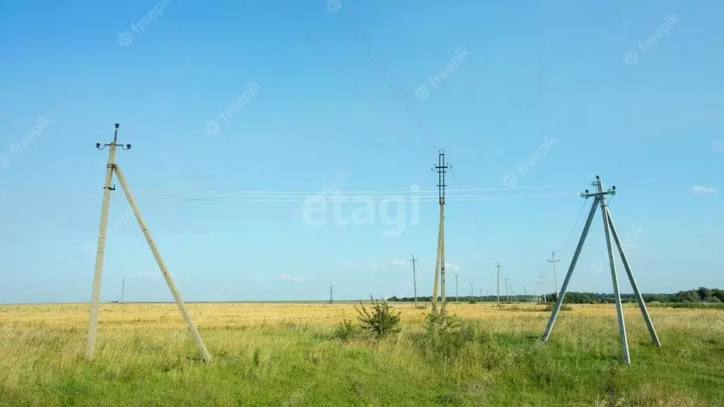 Участок в Курганская область, Мокроусовский муниципальный округ, с. ... - Фото 0