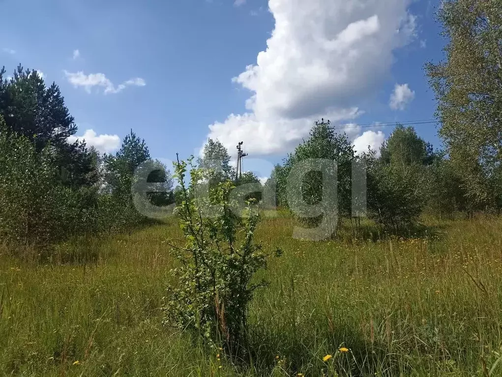 Участок в Калужская область, Дзержинский район, Галкино с/пос, д. ... - Фото 2